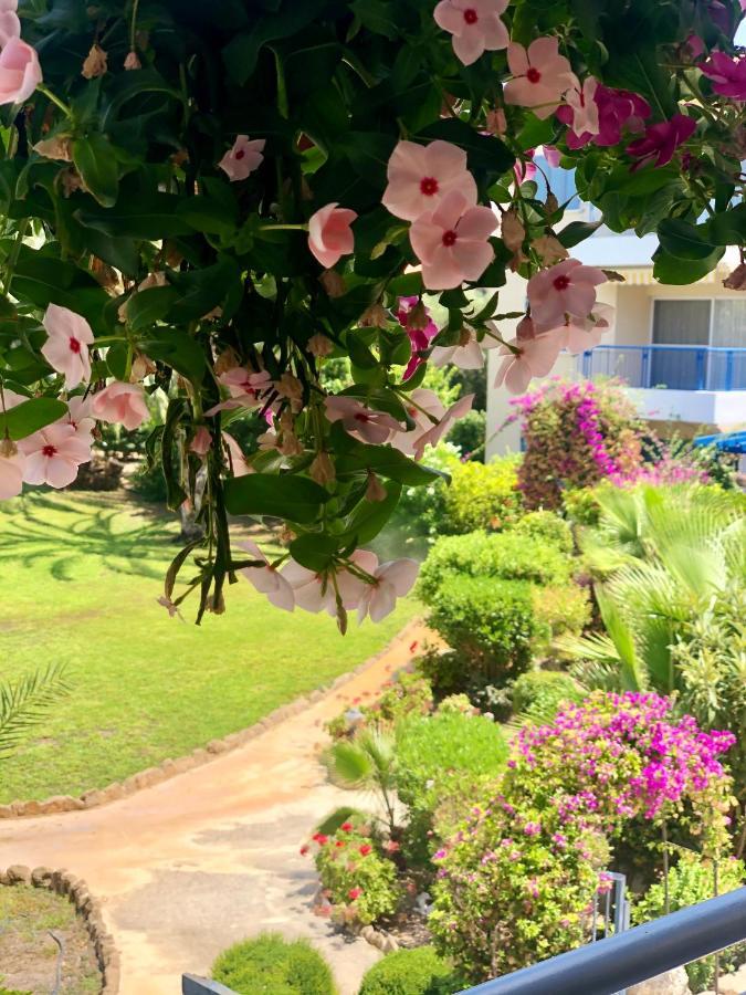 Paradise Gardens With A Large Terrace Paphos ภายนอก รูปภาพ