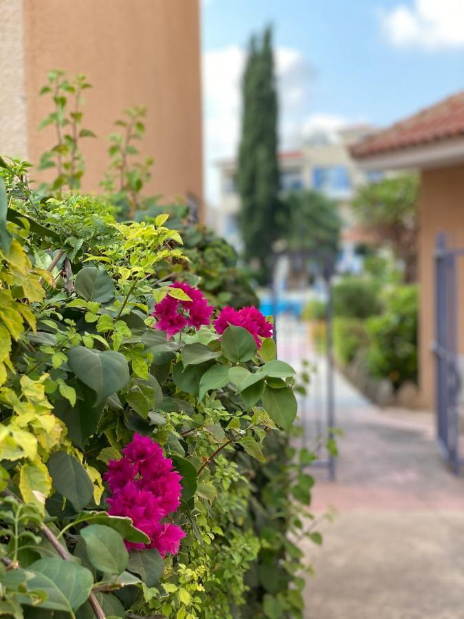 Paradise Gardens With A Large Terrace Paphos ภายนอก รูปภาพ